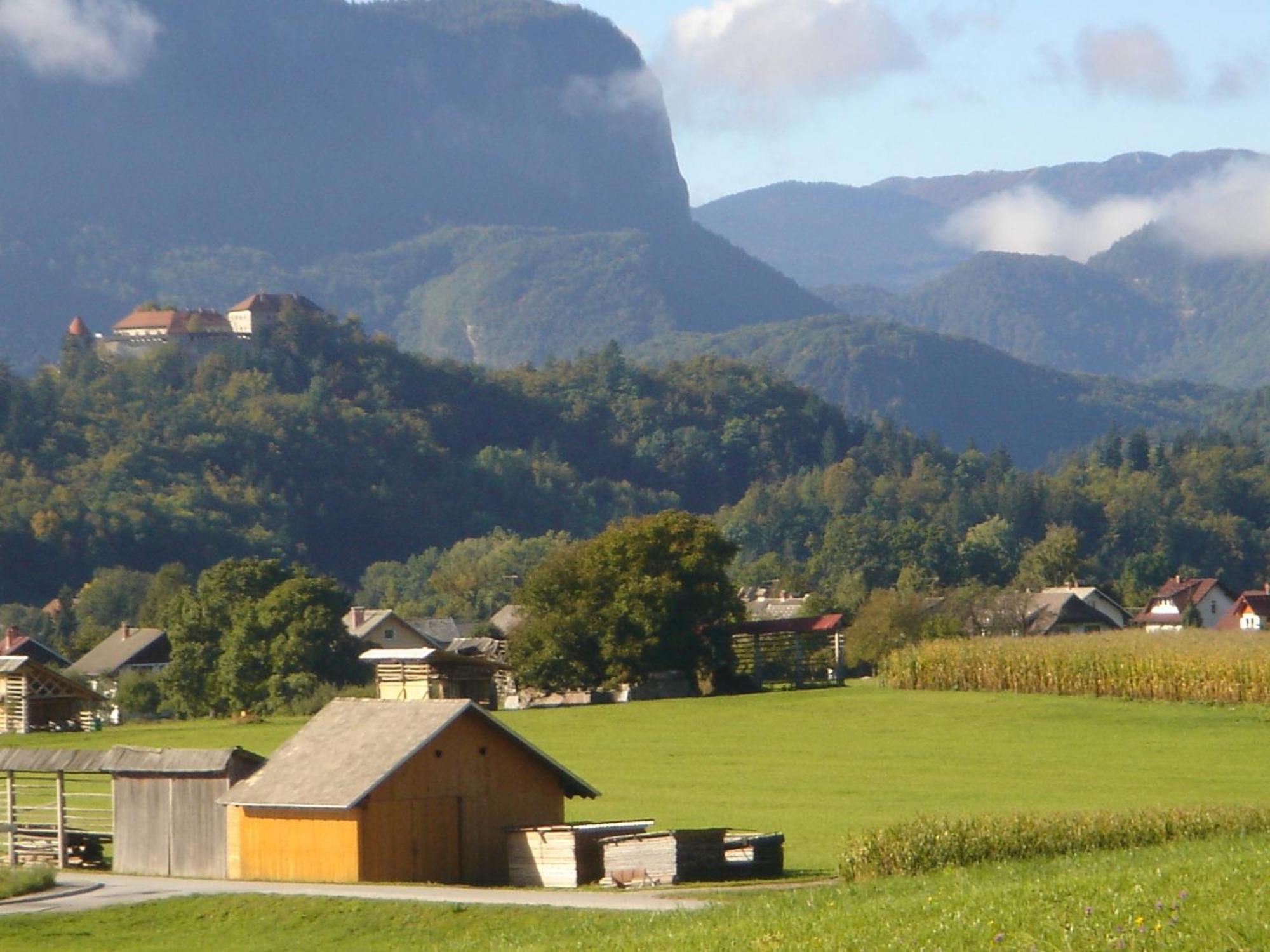Villa Dei Sogni Bled Zewnętrze zdjęcie